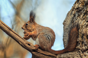 Similar image 21277804