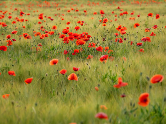 Similar image 21261499