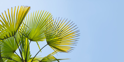 Similar image 21261507