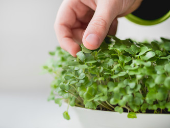 Similar image 21261509