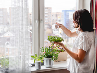 Similar image 21267981