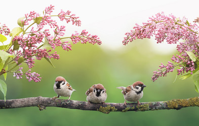 Similar image 21275423