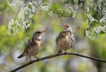 Similar image 21275424