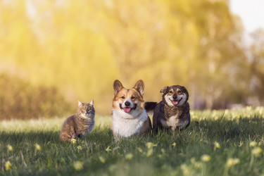 Similar image 21275426