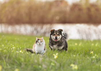 Similar image 21275427