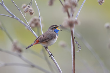 Similar image 21275429