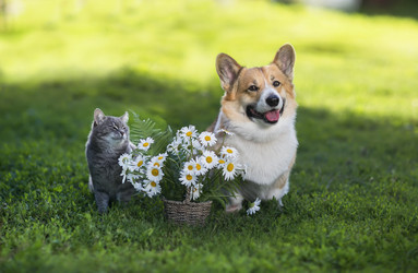 Similar image 21275434