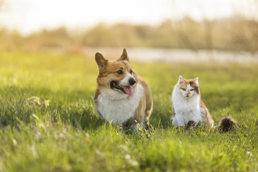 Similar image 21275436