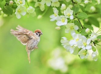 Similar image 21275437