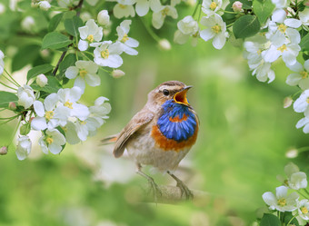 Similar image 21275438