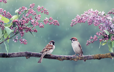 Similar image 21275440