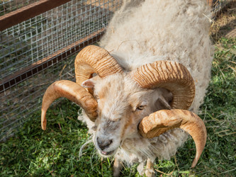 Similar image 21261526