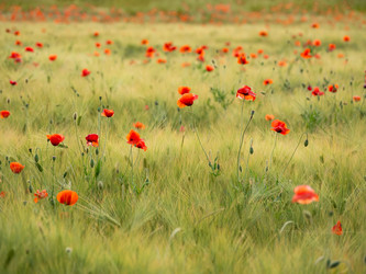 Similar image 21261531