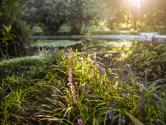 Similar image 21261532