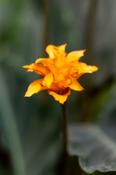 Similar image 21261549