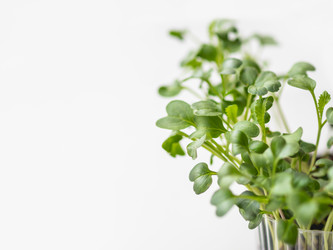 Similar image 21261568