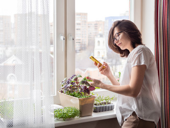 Similar image 21281554