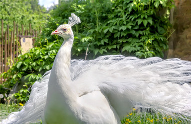 Similar image 21282752