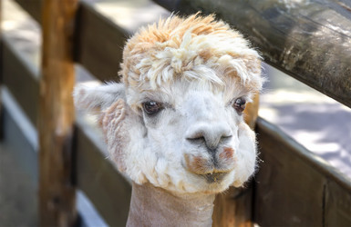 Similar image 21282756