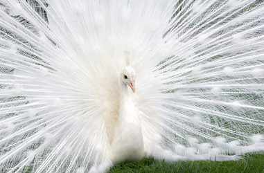 Similar image 21282757