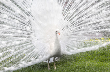 Similar image 21282759