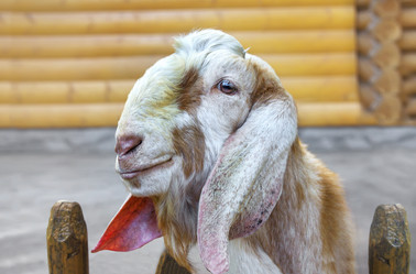 Similar image 21282760