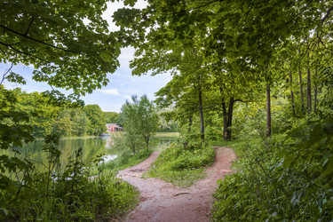 Similar image 21282764