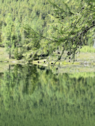 Similar image 21292315