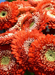 Similar image 21292321