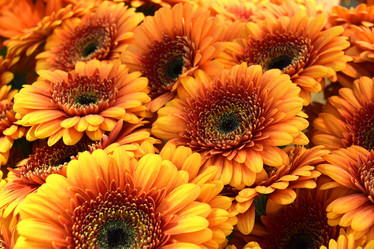 Similar image 21292323