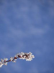 Similar image 21263121