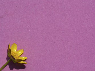 Similar image 21263122