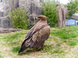 Similar image 21264410