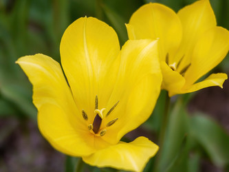 Similar image 21262406