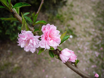 Similar image 21259527