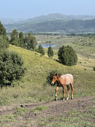 Similar image 21280439