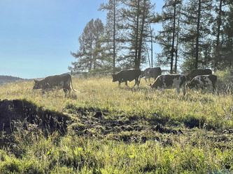 Similar image 21280448