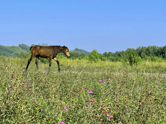 Similar image 21280461