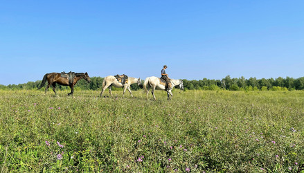 Similar image 21280465