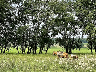 Similar image 21280468