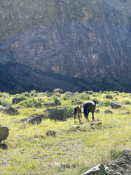 Similar image 21280469