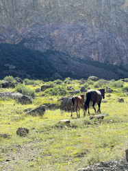 Similar image 21280471