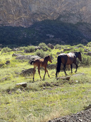 Similar image 21280472