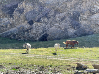 Similar image 21292166