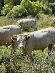 Similar image 21292171