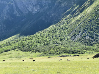 Similar image 21292172