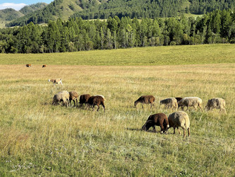 Similar image 21292177