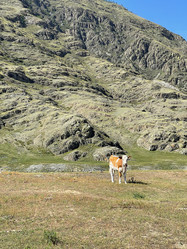 Similar image 21292193