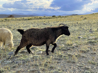 Similar image 21292196