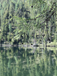 Similar image 21292197